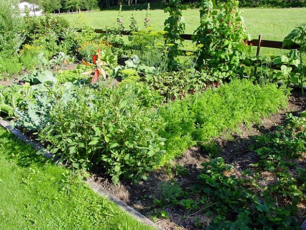 allotments