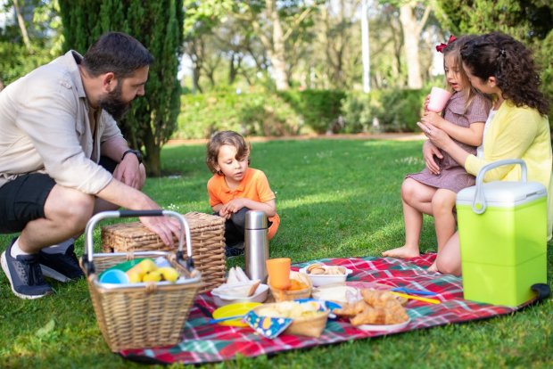 picnic